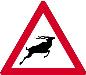 Wild animals