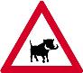 Warthog
